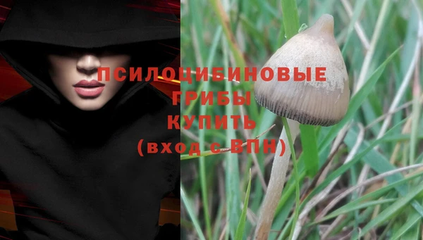 прущие крисы Аркадак