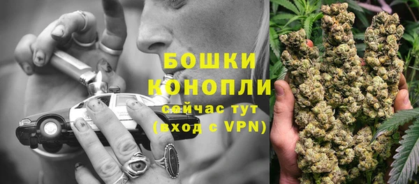 бутират Арсеньев