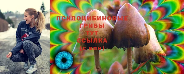 прущие крисы Аркадак