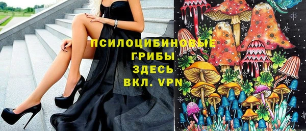 бутират Арсеньев