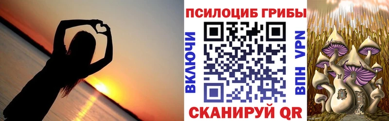Купить закладки  Вельск  Псилоцибиновые грибы ЛСД 